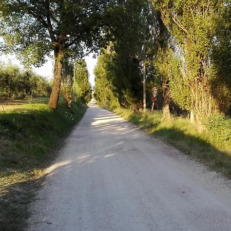 Agriturismo Il Grappolo E La Rosa Монтефалько