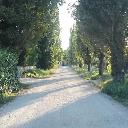 Agriturismo Il Grappolo E La Rosa Летний дом Монтефалько