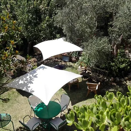 Agriturismo Il Grappolo E La Rosa Монтефалько