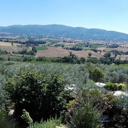 Agriturismo Il Grappolo E La Rosa *