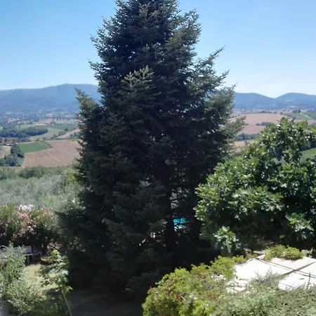 Agriturismo Il Grappolo E La Rosa *