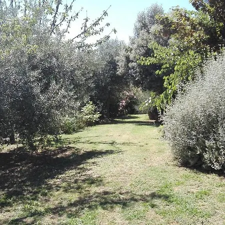 Летний дом Agriturismo Il Grappolo E La Rosa