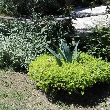 Agriturismo Il Grappolo E La Rosa Летний дом *