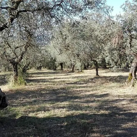 Agriturismo Il Grappolo E La Rosa Летний дом