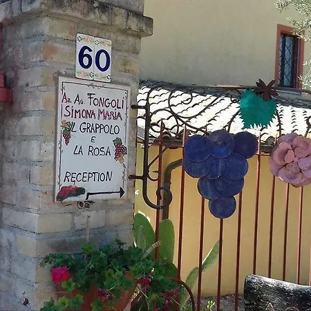 Летний дом Agriturismo Il Grappolo E La Rosa Монтефалько