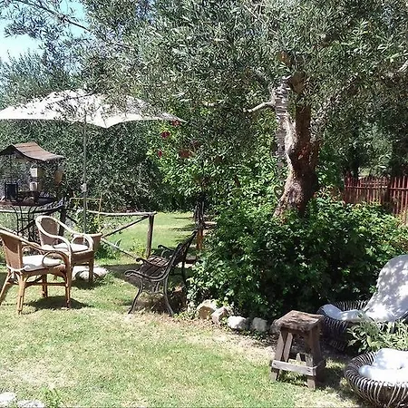 Agriturismo Il Grappolo E La Rosa * Монтефалько