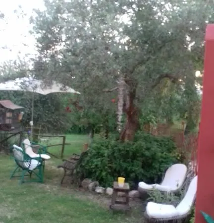 Летний дом Agriturismo Il Grappolo E La Rosa Монтефалько